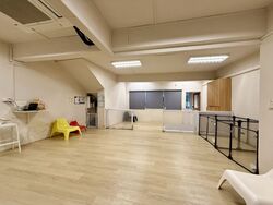 Adelphi Park Estate (D20), Shop House #560233611
